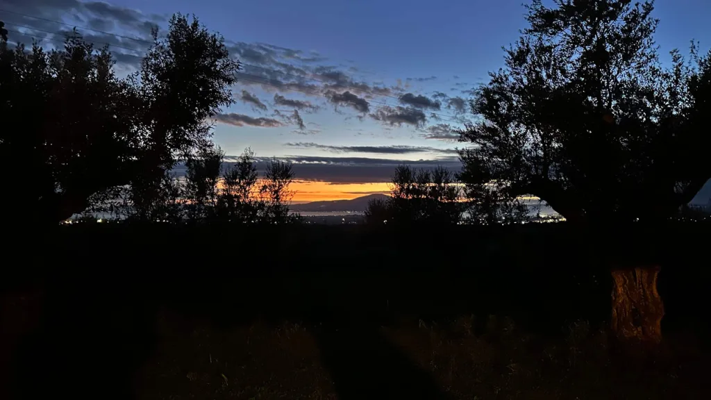 Villa Georgia — the house and the olive grove, Kalamata
