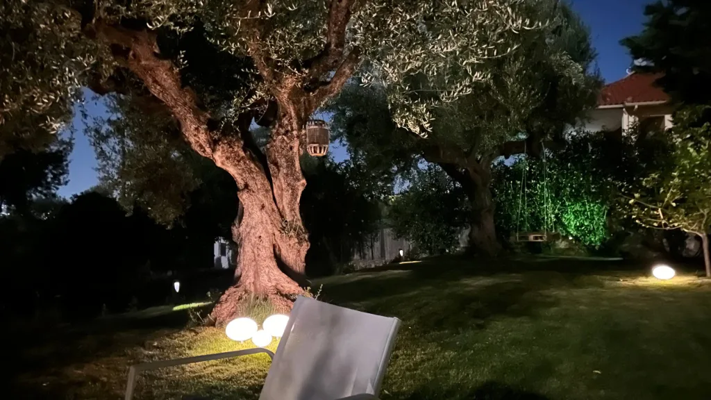 Villa Georgia — the house and the olive grove, Kalamata