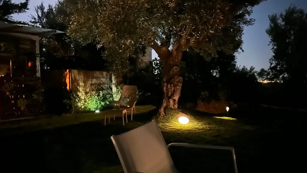 Villa Georgia — the house and the olive grove, Kalamata