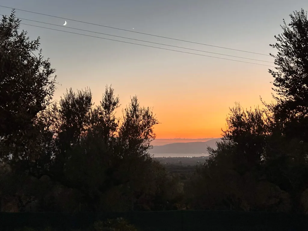 The garden and olive grove at Villa Georgia, Kalamata