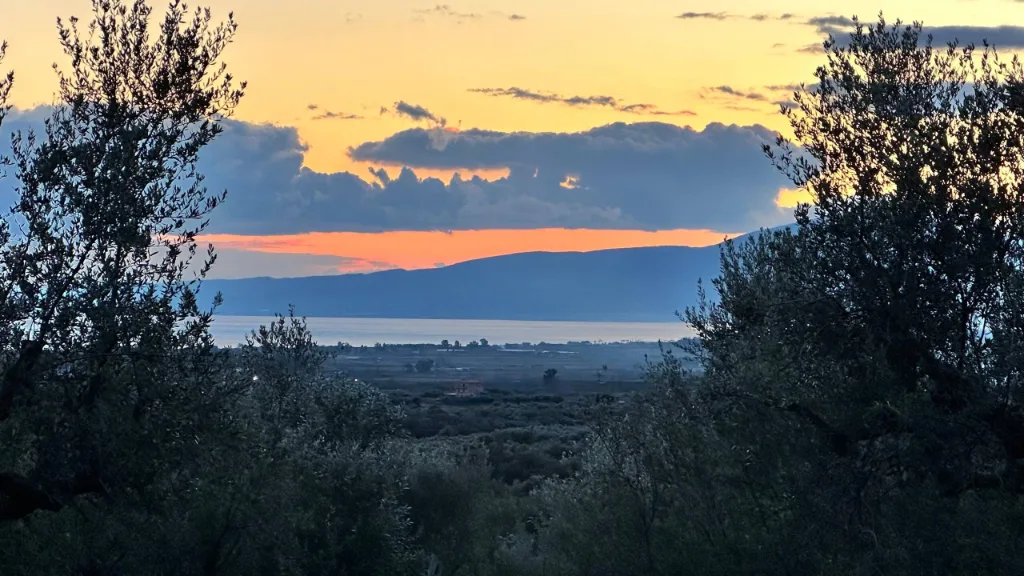 The garden and olive grove at Villa Georgia, Kalamata