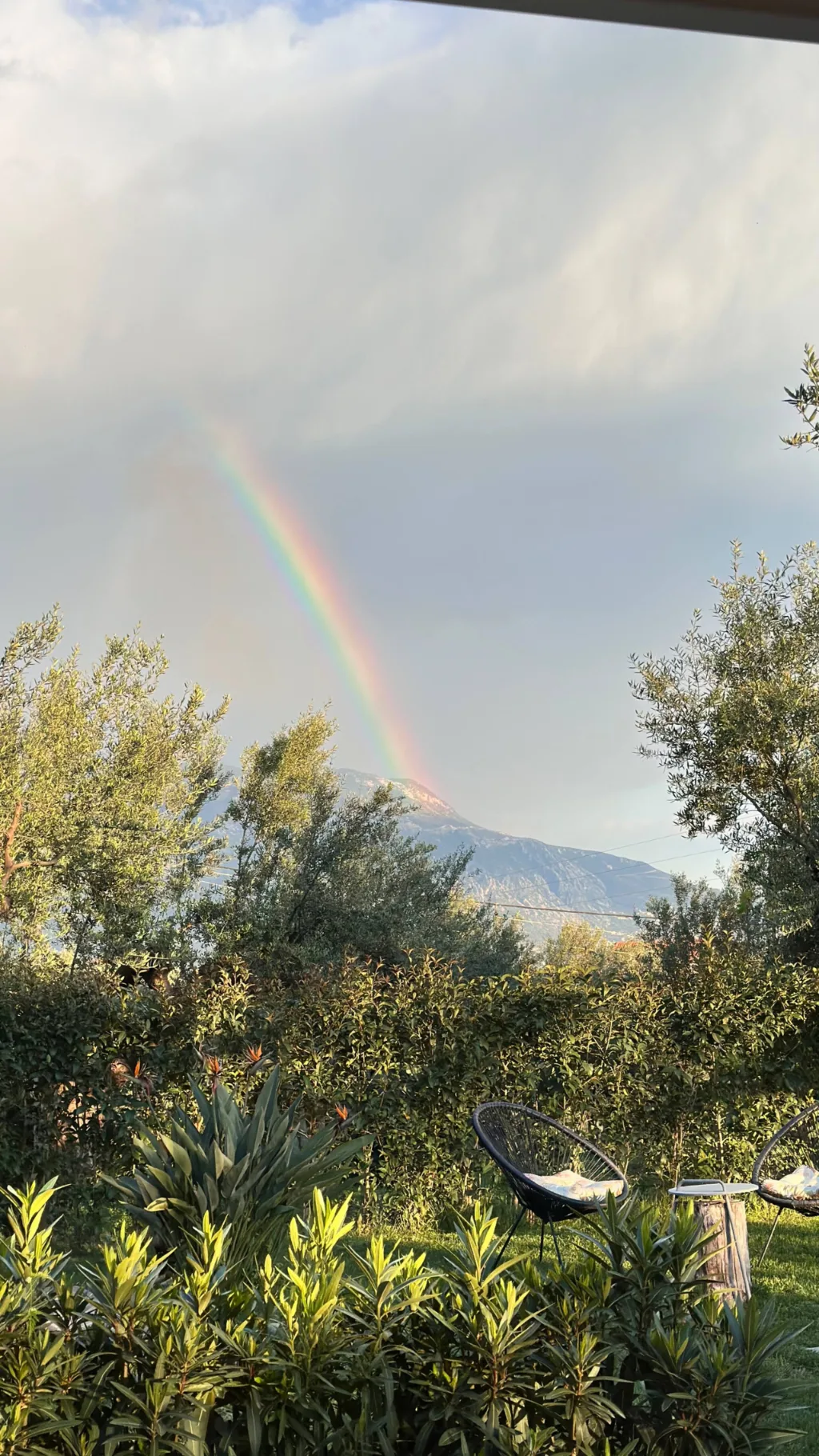 The garden and olive grove at Villa Georgia, Kalamata