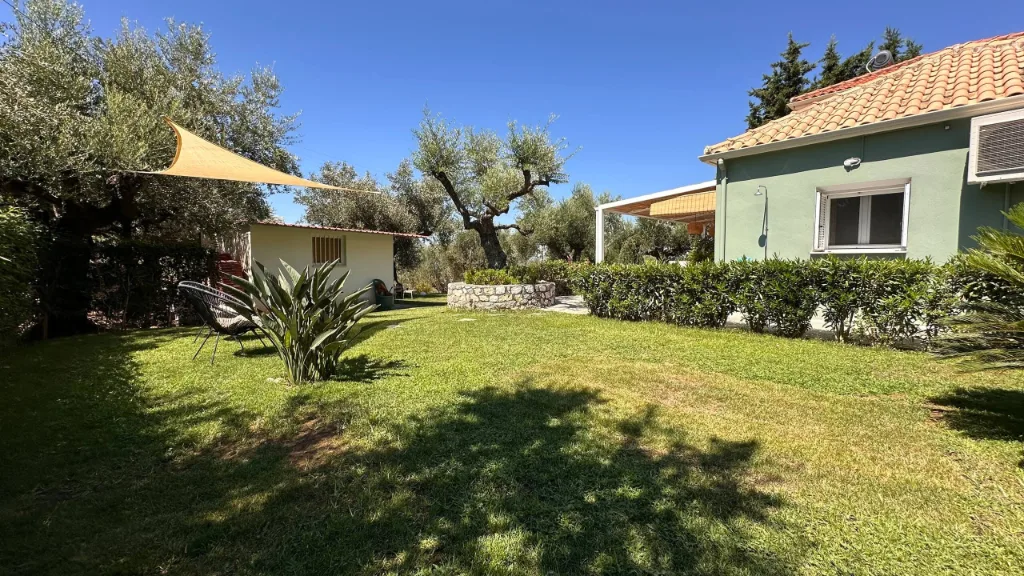 The garden and olive grove at Villa Georgia, Kalamata