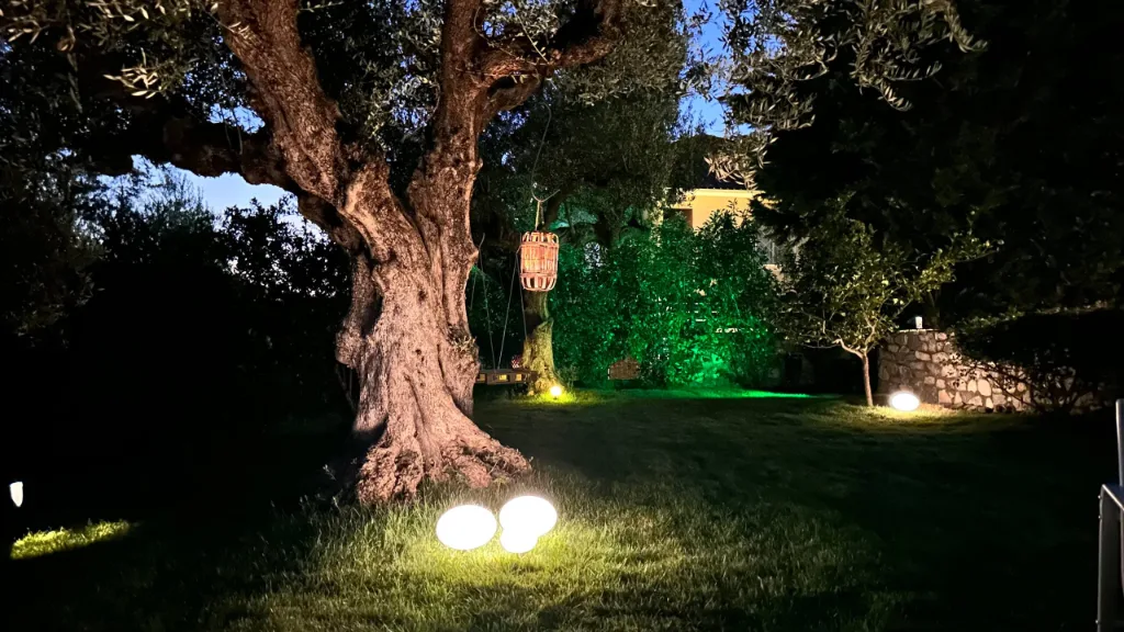 The garden and olive grove at Villa Georgia, Kalamata