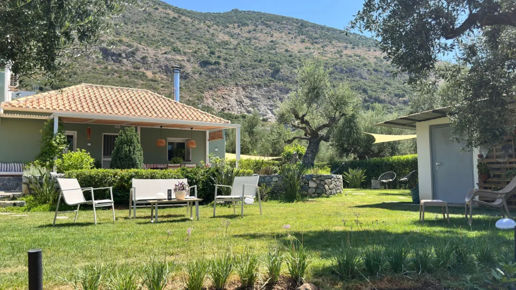 The garden and olive grove at Villa Georgia, Kalamata