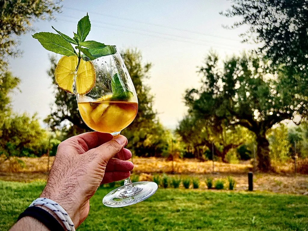 The garden and olive grove at Villa Georgia, Kalamata