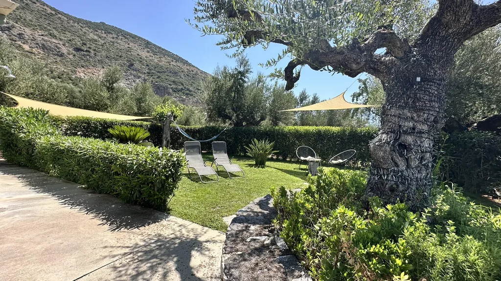The lawn at Villa Georgia with a hammock, sun loungers and shade sails under the olive trees